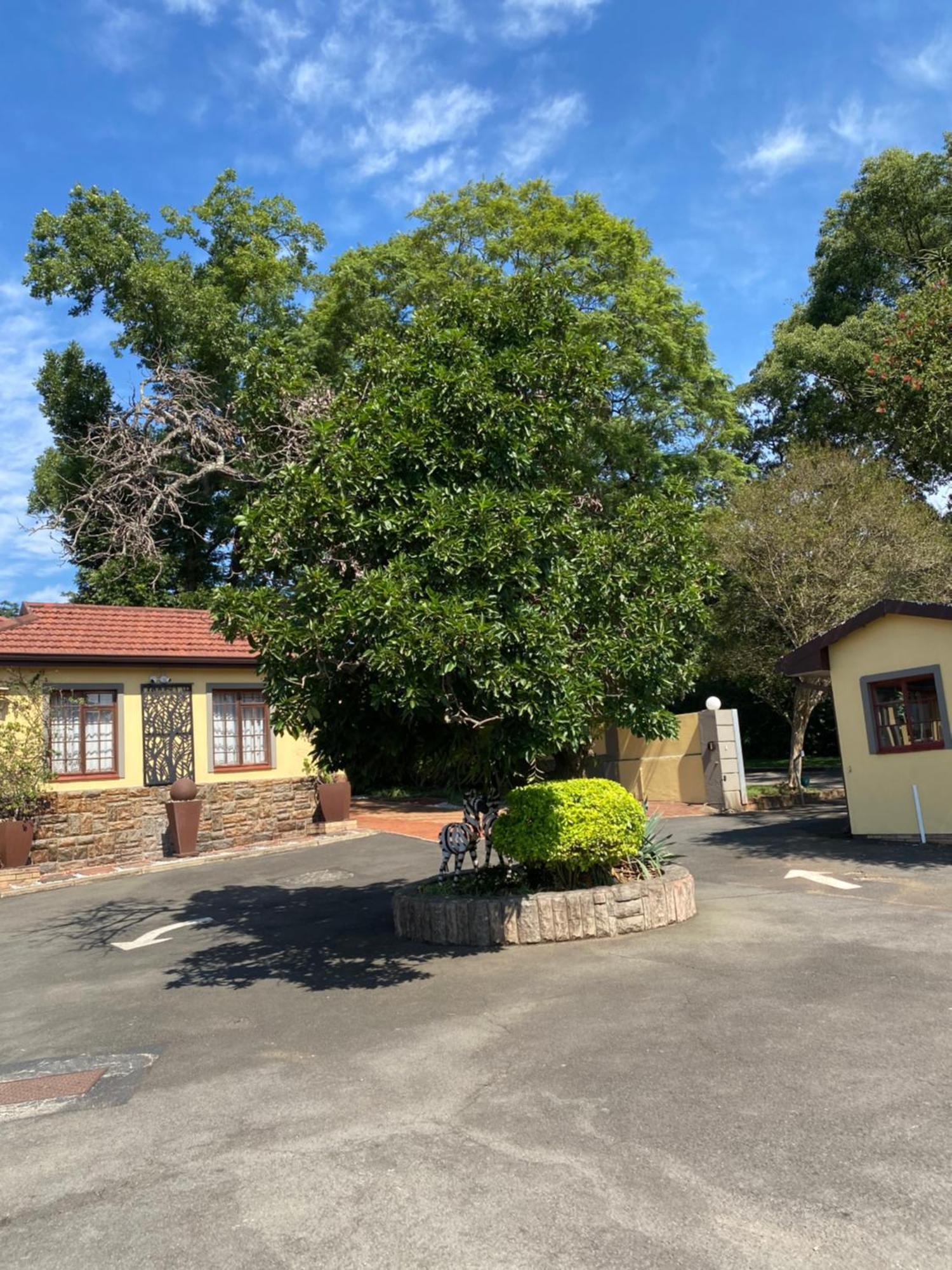 Madlula'S Guesthouse Pietermaritzburg Kültér fotó